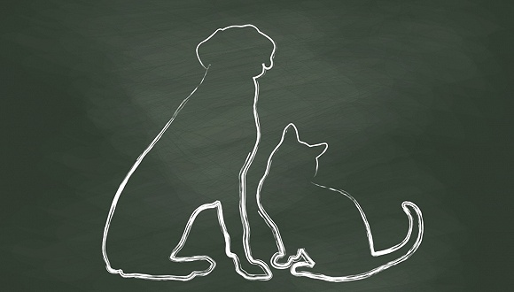 图片来源:视觉中国