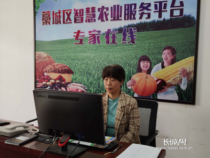 现代农业服务引领农业新变革