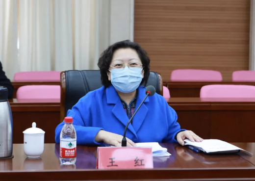 国药集团刘敬桢董事长与北京市政府王红副市长会谈