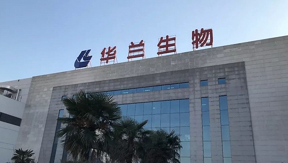 华兰生物拟分拆疫苗板块至创业板上市疫苗企业估值整体走高