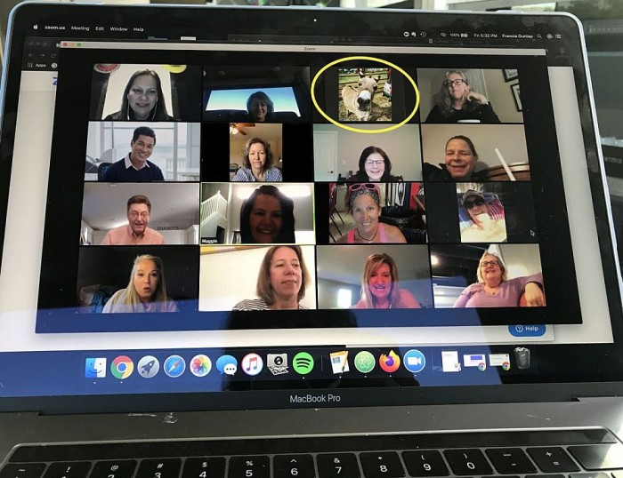 为了让视频会议变得更加有趣,目前在zoom上开始出现了一种新的趋势;在