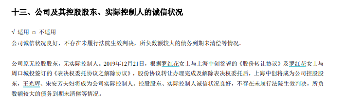 图片来源:中创环保2019年年报截图