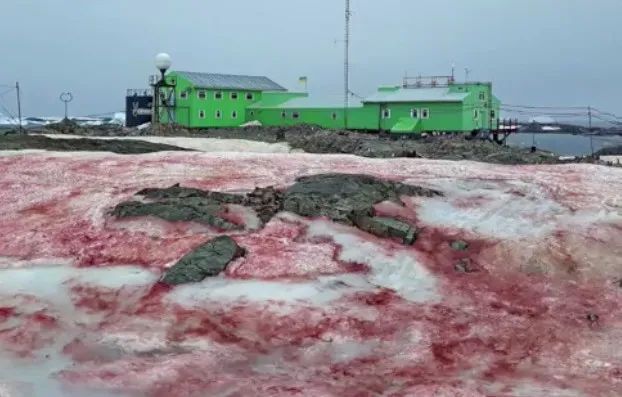 地球16张绝美照片背后，藏着最恐怖的故事