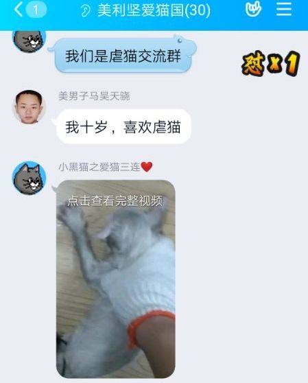  虐猫群中，有很多虐待者、贩卖者以及观看者为未成年人。来源：受访者