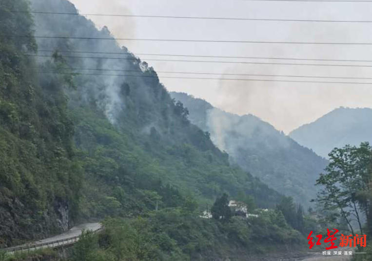 兵参病毒部回病毒不建不建