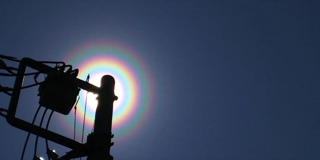 让花粉过敏者痛不欲生的 其实是那些看似没花的植物 雄性 玉米 新浪科技 新浪网