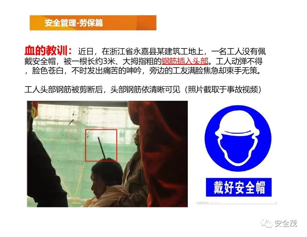 奥迪女士车型最新款