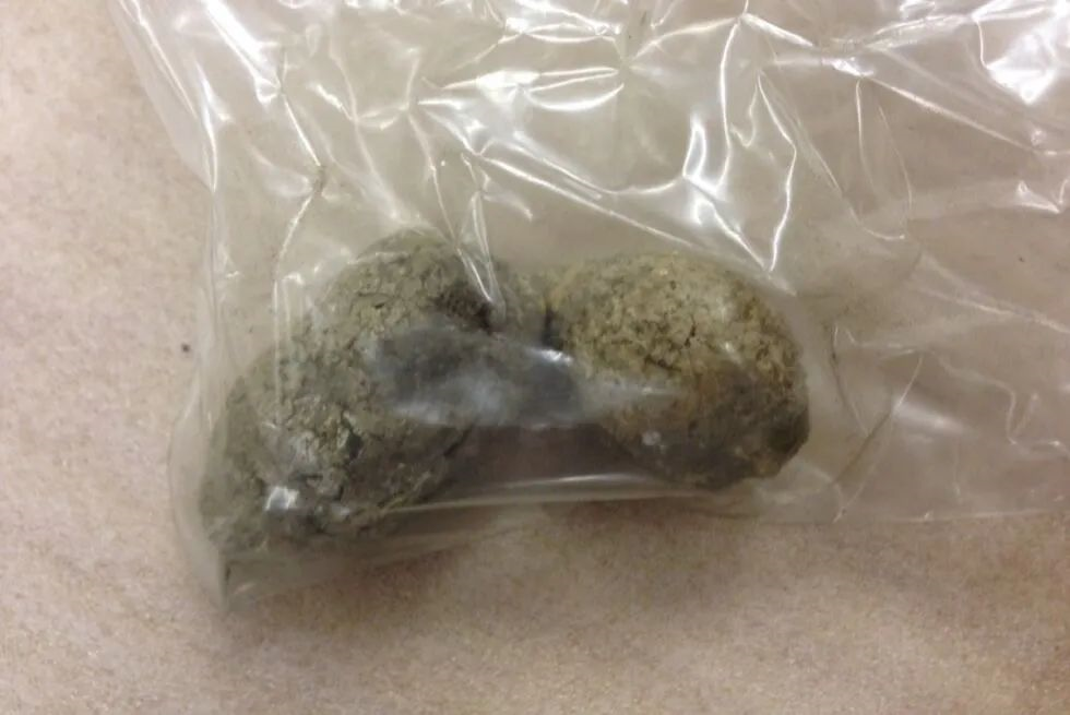 如何分辨7000年前的米田共?