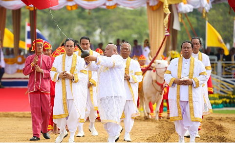 图:往年泰国春耕节庆祝仪式