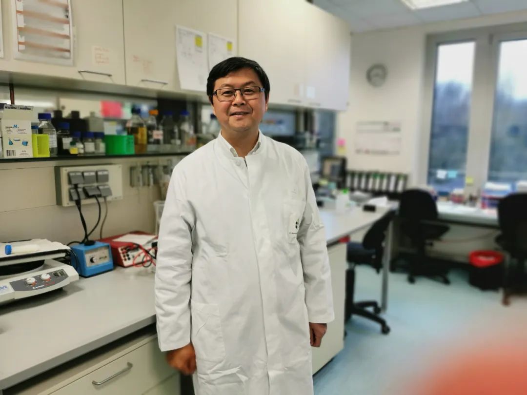 德国华裔病毒学家,埃森大学教授陆蒙吉(受访者提供)