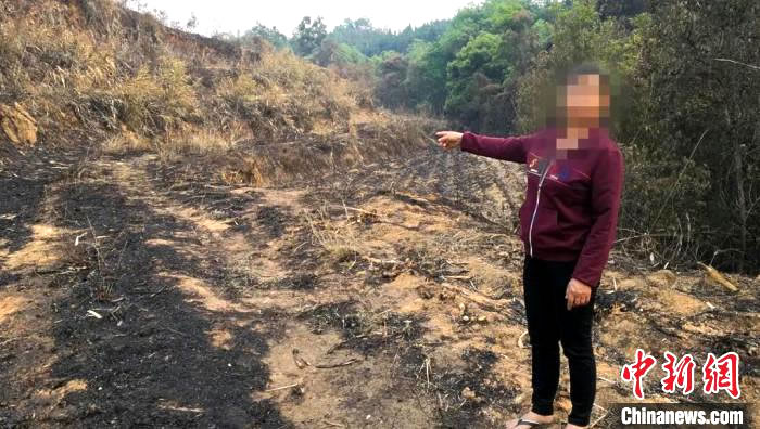 云南陇川森林火灾:村民违规用火烧甘蔗叶 烧毁45公顷森林