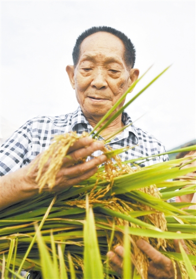 袁隆平：中国不会出现“粮荒” 完全能够自给自足