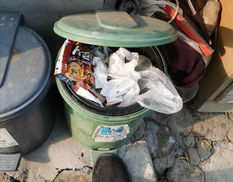 这户人家对分类垃圾桶的用法是绿桶装满再装灰