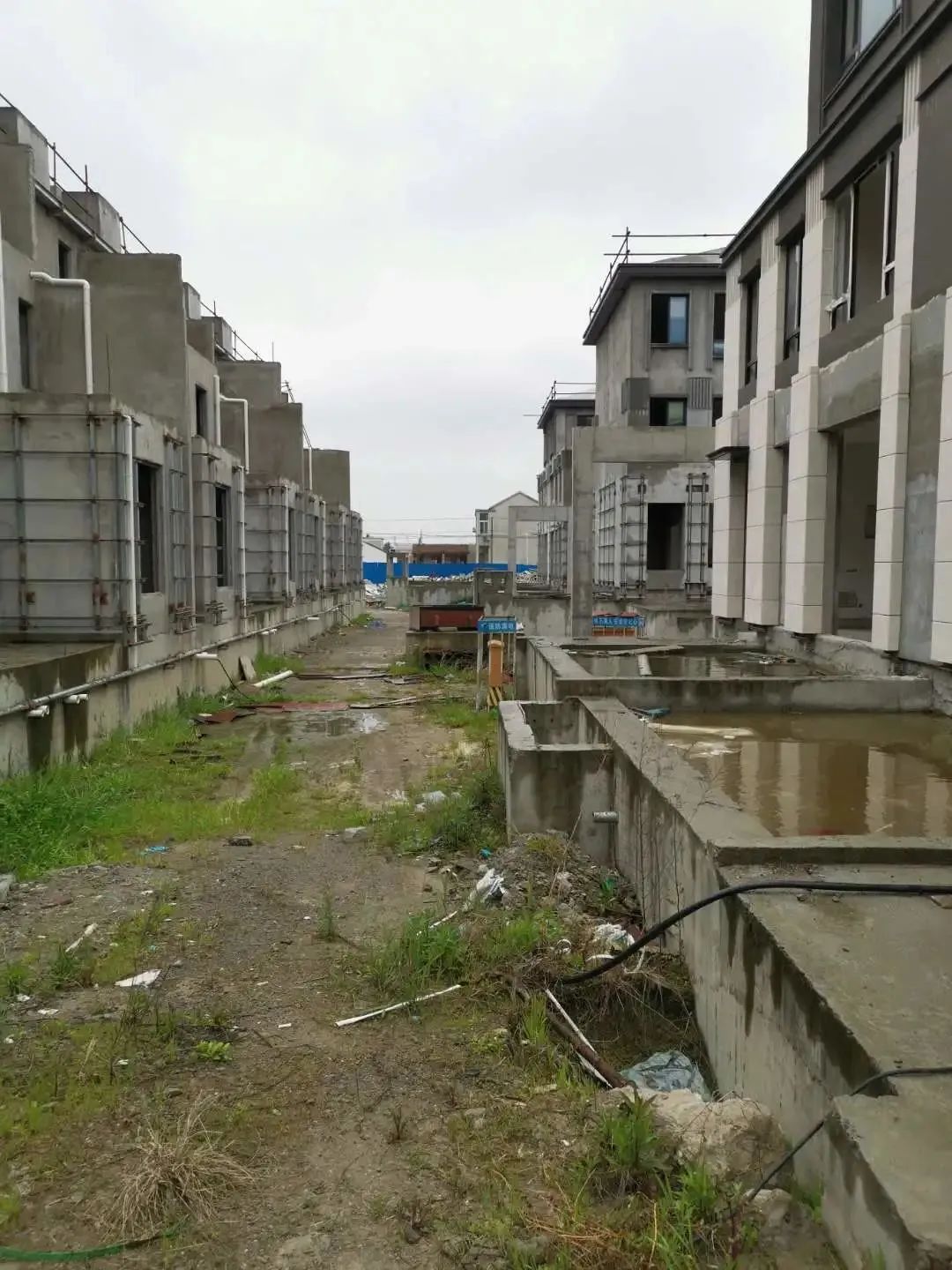 千万不要买泰禾院子啊 泰禾 新浪财经 新浪网