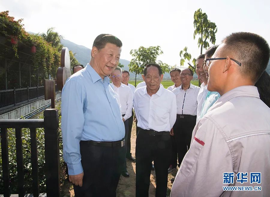 2018年4月11日至13日，中共中央总书记、国家主席、中央军委主席习近平在海南考察。这是4月12日下午，习近平在国家南繁科研育种基地同袁隆平院士等农业科技人员亲切交谈，了解水稻育制种产业发展和推广情况。新华社记者 李学仁 摄