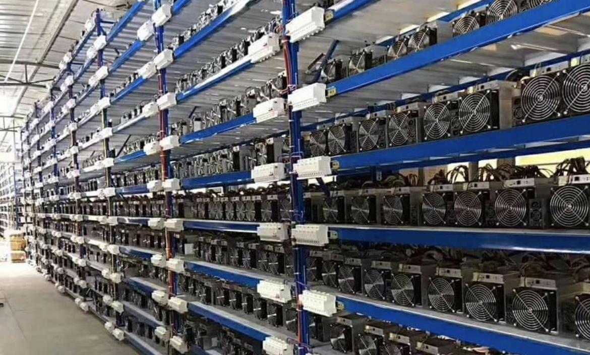 比特币再次减半：矿机、矿场、矿工为何都喊太难了|挖矿|周辉|成本|商家|奖励_手机新浪网