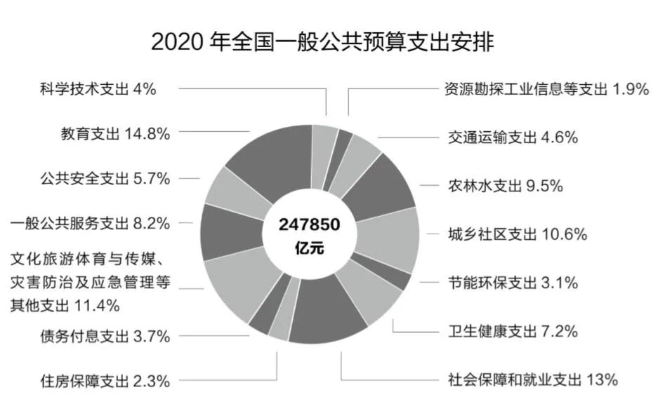 数说“国家账本”丨2020年，钱将这么花……