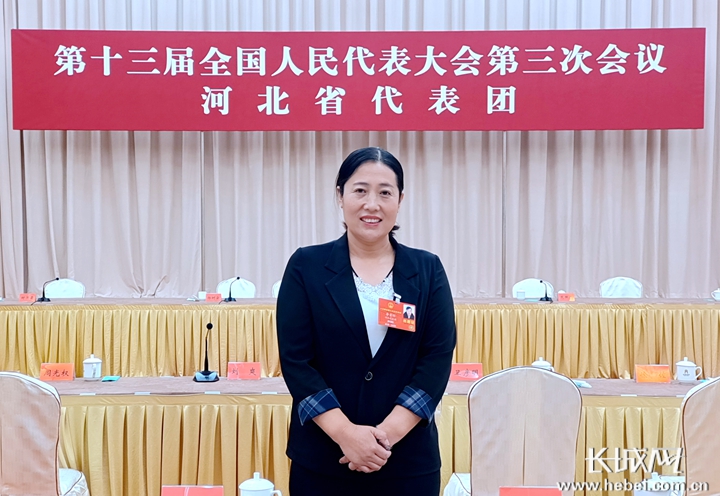 两会新观察抓机遇开新局新经济业态燃起燎原之势