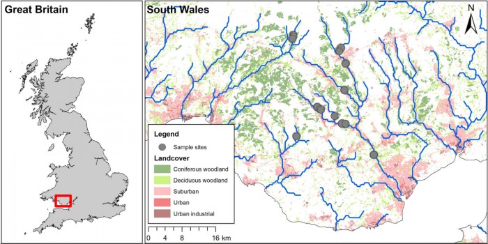 研究发现首个显示河流中塑料会沿食物链向上端移动的证据