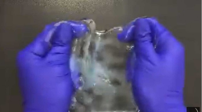MIT的突破性方法使组织具有可拉伸性和耐用性 1 70e2 iufmpmn0080296