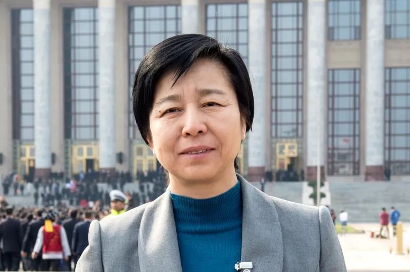 《存款保险条例》全国人大代表王玉玲:《中华人民共和国商业银行法》