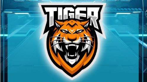 影驰赞助csgo亚邀赛tiger顺利夺冠