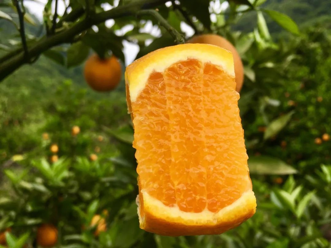 怎一个爽字了得