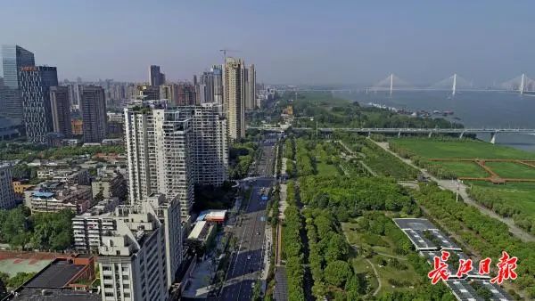 布业被冻外输网吧外疫外新万例情防群体情不全球星发现一