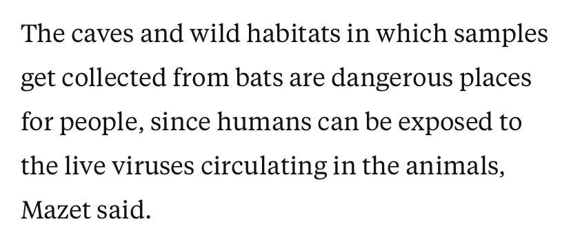 △马泽特说：“采集样本的洞穴和野外环境对人们来说是危险的地方，因为可能会接触到动物体内存活的病毒 。”