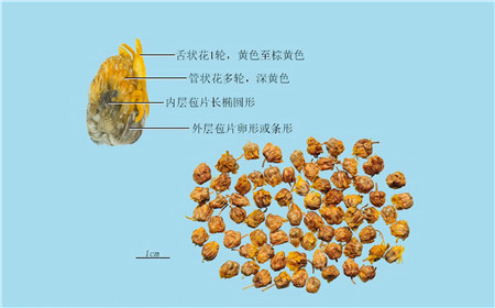 清风典历以法为教以吏为师