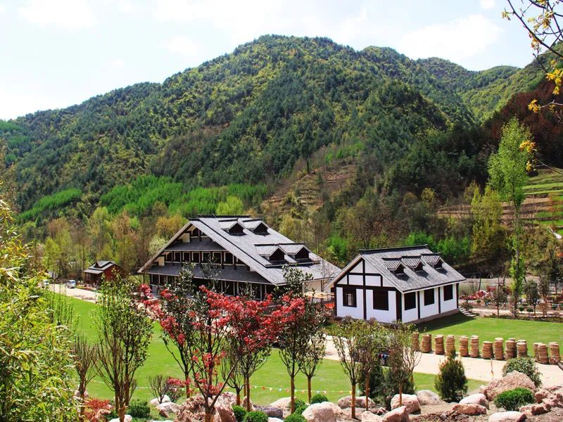 高标准打造花桥乡村旅游扶贫示范基地——甘肃省陇南市花桥村|花桥