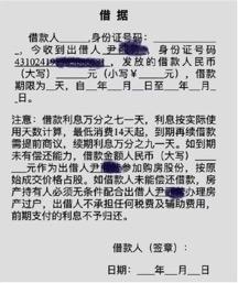  魏静提供的空白借据