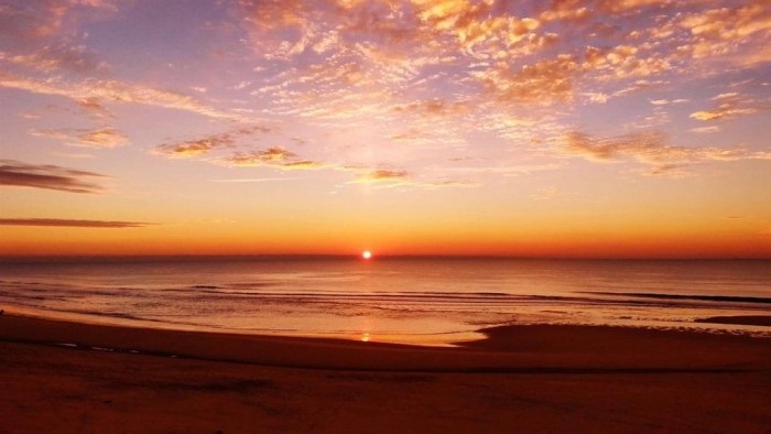 微软发布两款win10 夏日主题壁纸包 4k 品质 免费拿 寒武世纪