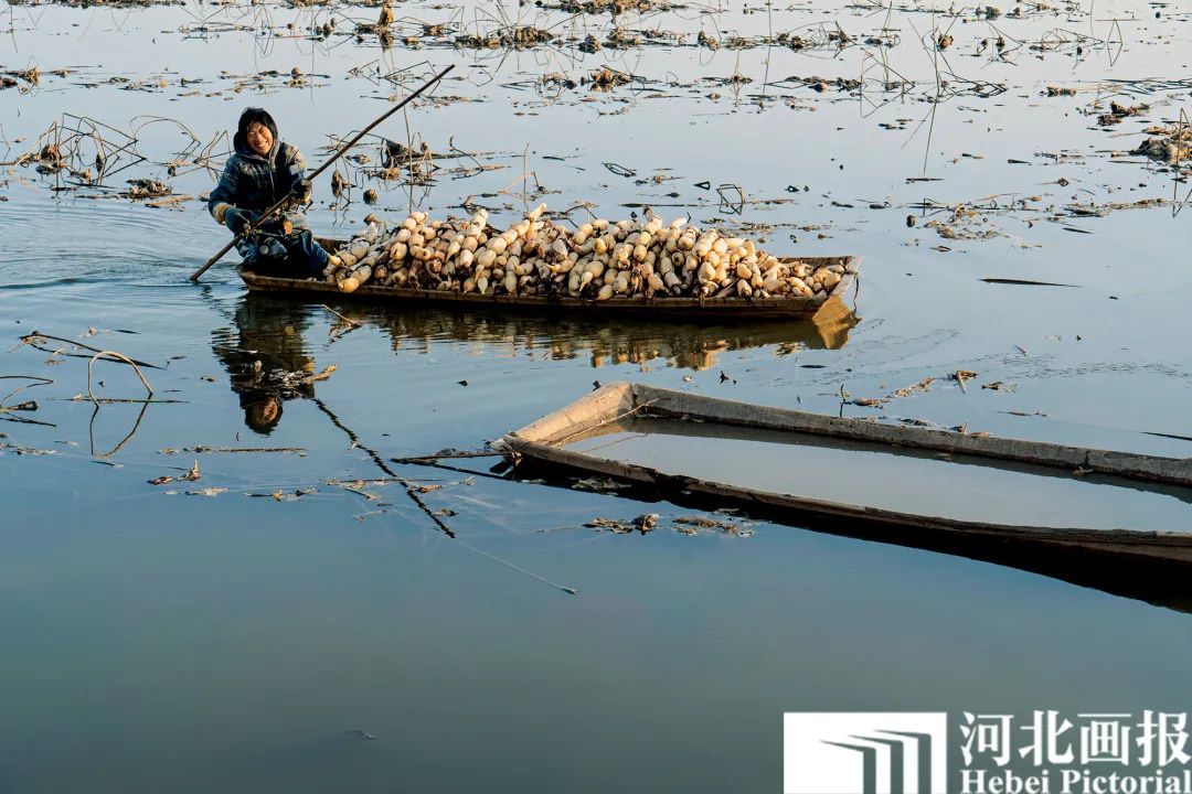 千古风流赵北口