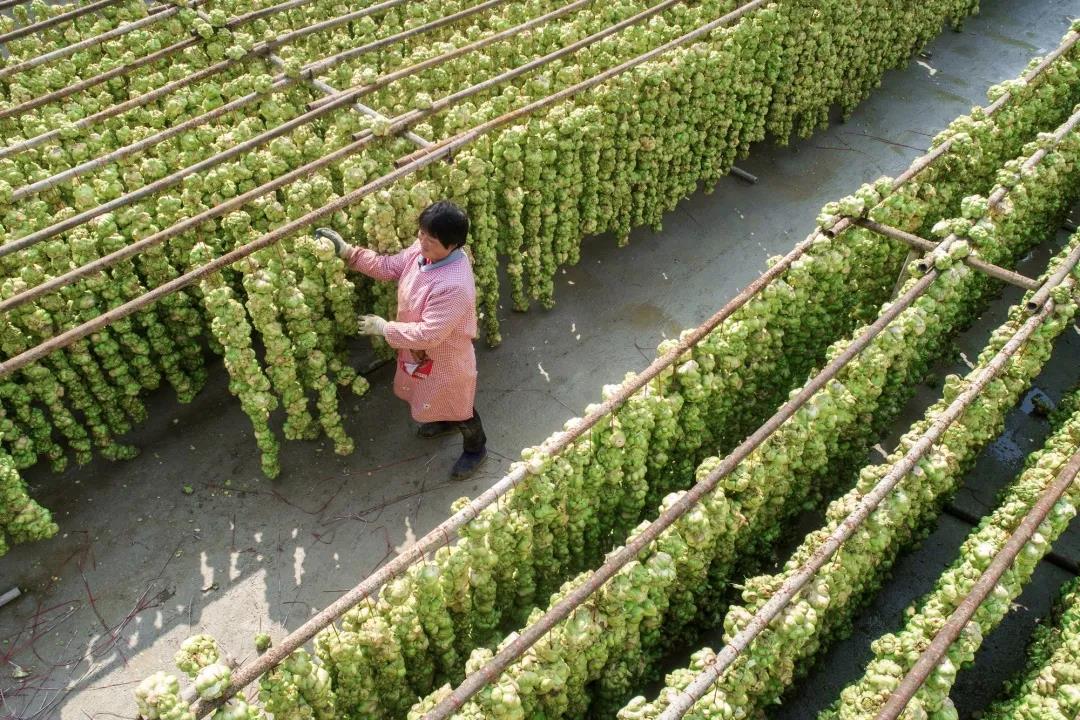 黔江有个筲箕滩今年架起了致富路