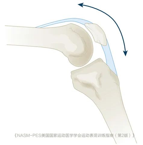 pfp综合征最常见且被普遍接受的原因之一是髌骨在股骨滑车上的滑行