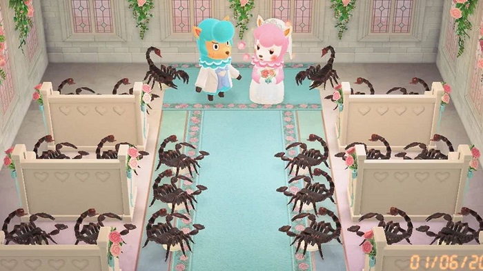 网友分享 动物森友会 中的奇趣婚礼场景 手机新浪网