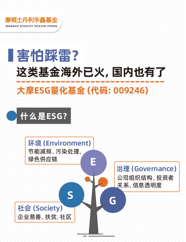 害怕踩雷？这类基金海外已火，国内也有了