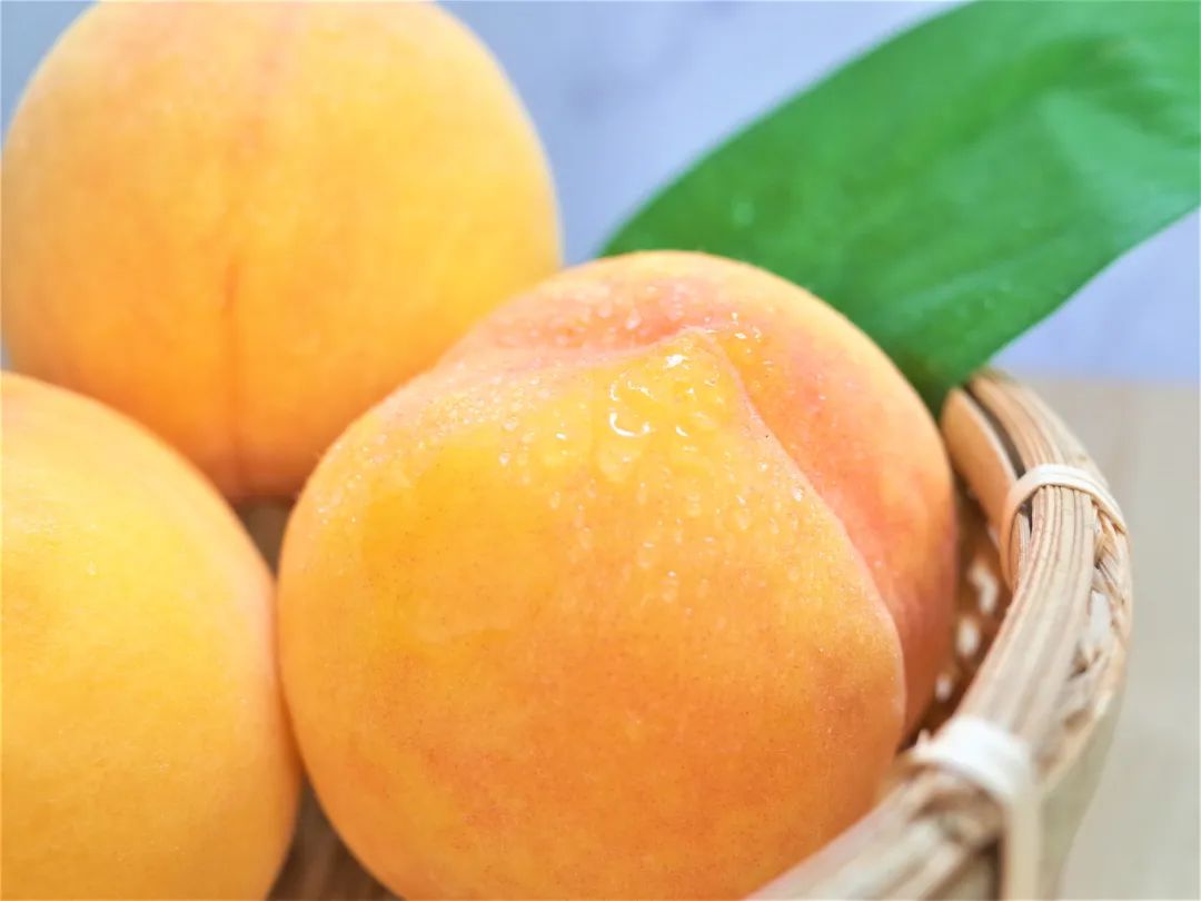 为什么很多人只看过黄桃罐头 几乎没见过新鲜黄桃 黄桃罐头 新浪财经 新浪网