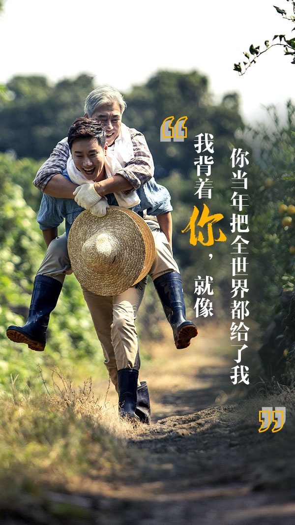 父爱无声岁月回响