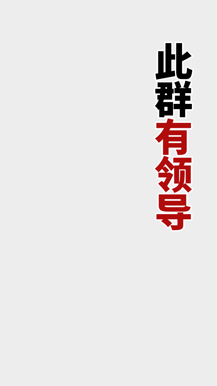 我,鼓起勇气拍了拍领导!