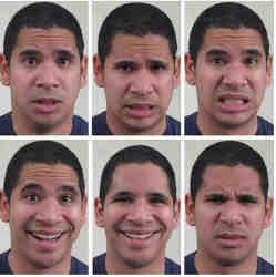 尴尬而不失礼貌的微笑 再也不能骗到ai了 新浪科技 新浪网