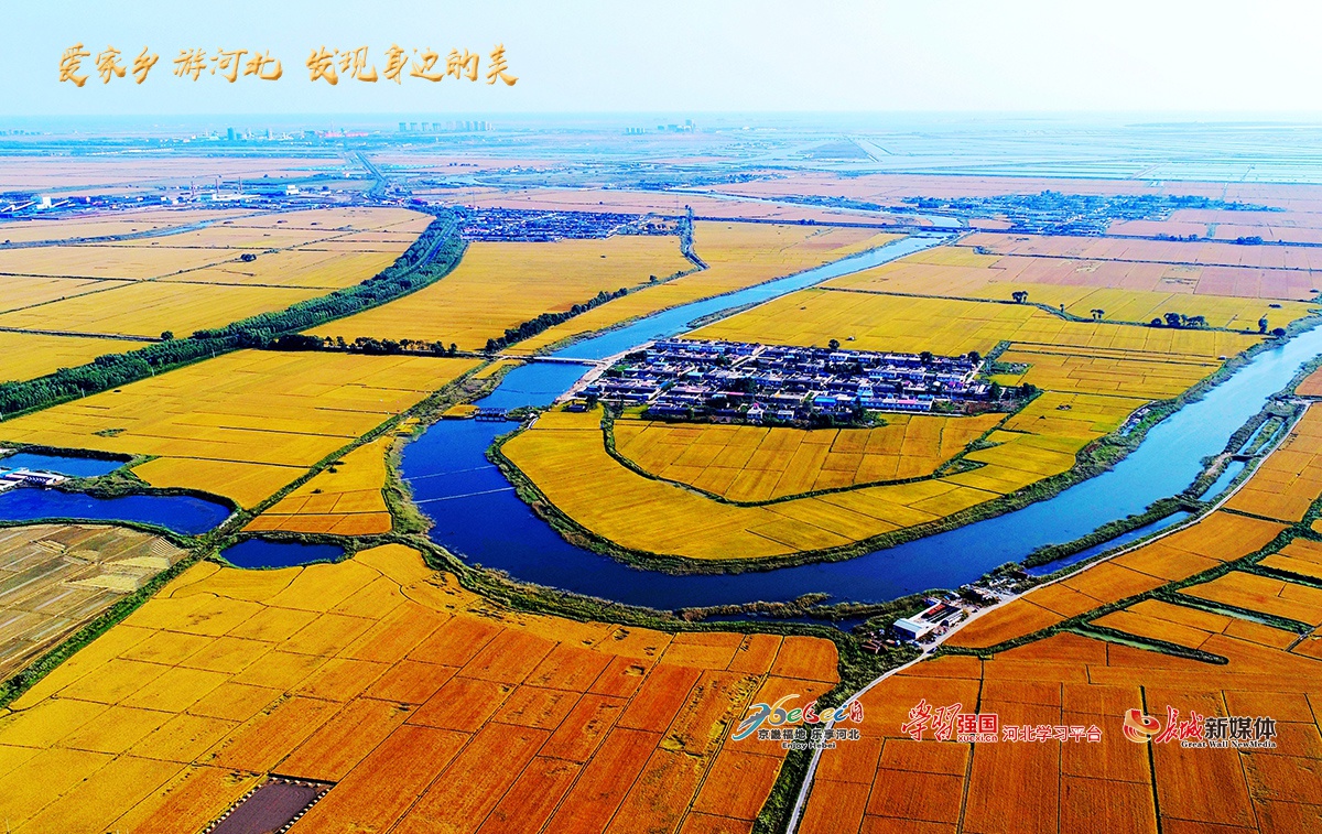 爱家乡游河北乐亭文化昌隆景美果香在海一方