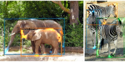 为了能简化计算机识别图像的过程,来自facebook人工智能研究实验室