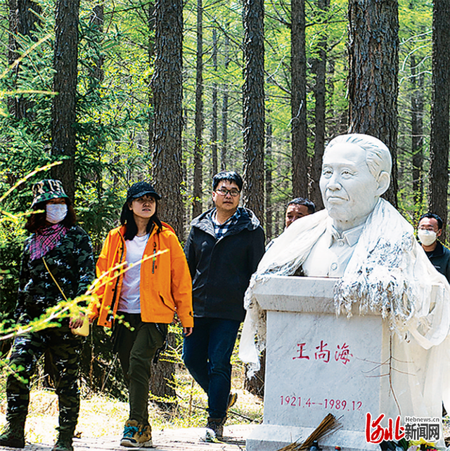 塞罕坝林海添新绿