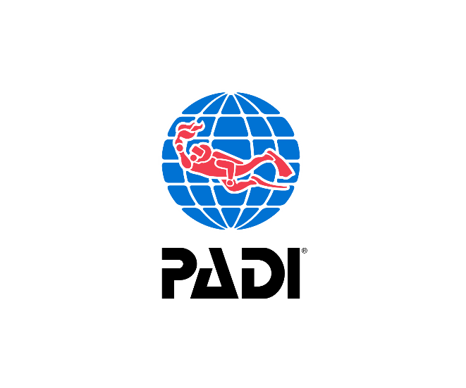 2020世界海洋日padi携众多明星为海洋发声