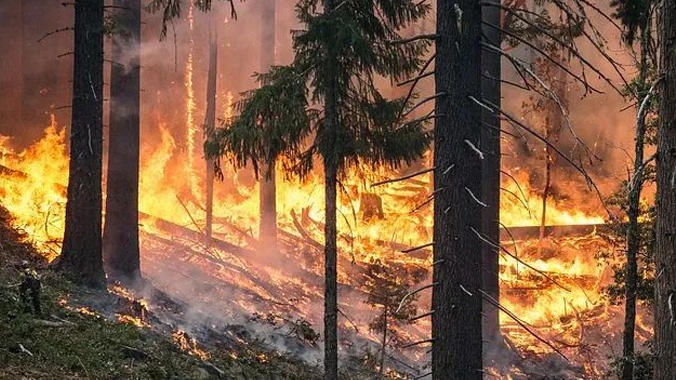 综合编译:李光昭 火光漫天,浓烟密布,澳大利亚自