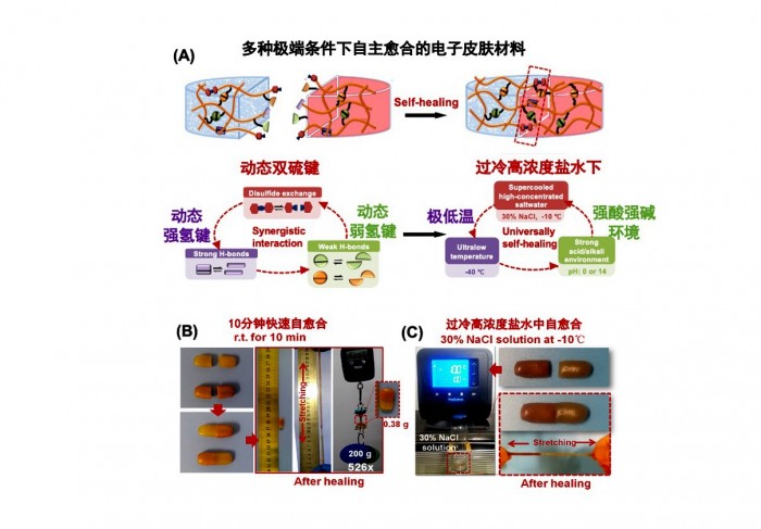 “全天候”自愈材料的超级电子皮肤问世 1 “全天候”自愈合材料的超级电子皮肤问世