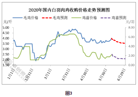 热点聚焦白羽肉鸡养殖由亏转盈后市养殖行情是否乐观