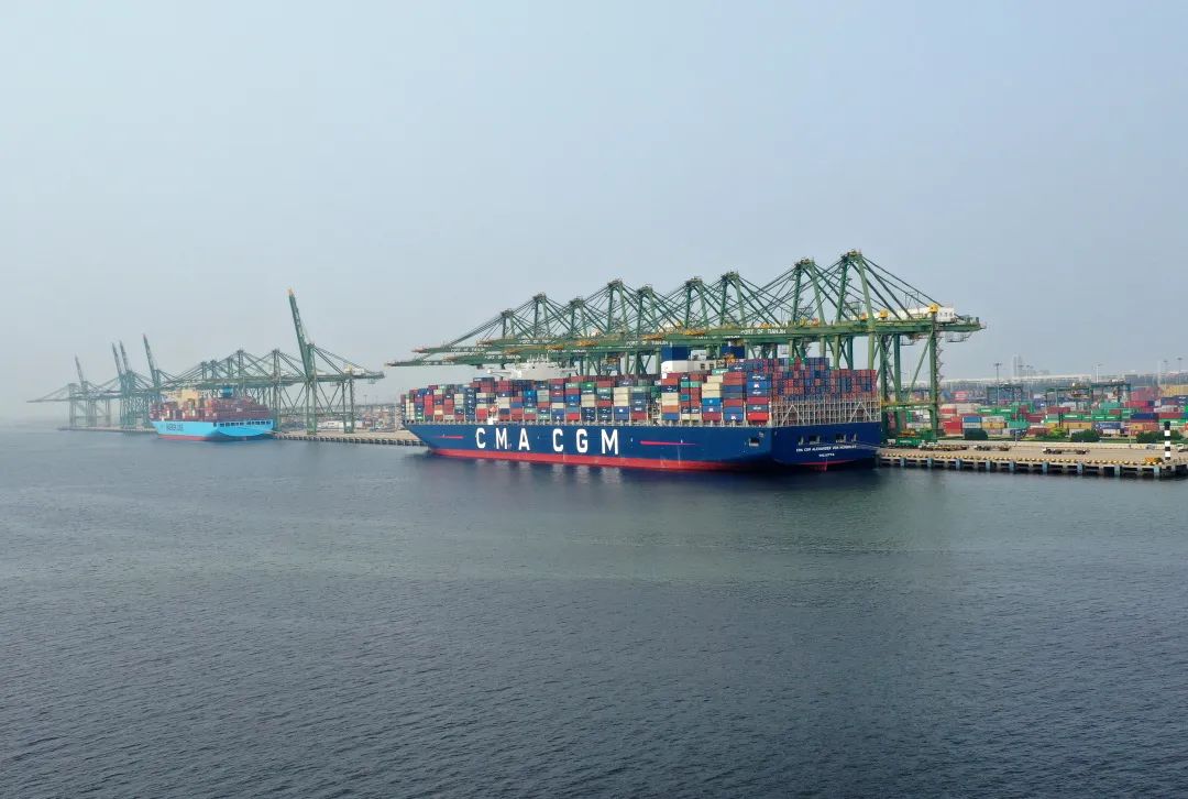 这是2019年8月8日无人机拍摄的天津港集装箱码头群一景。新华社记者 李然 摄
